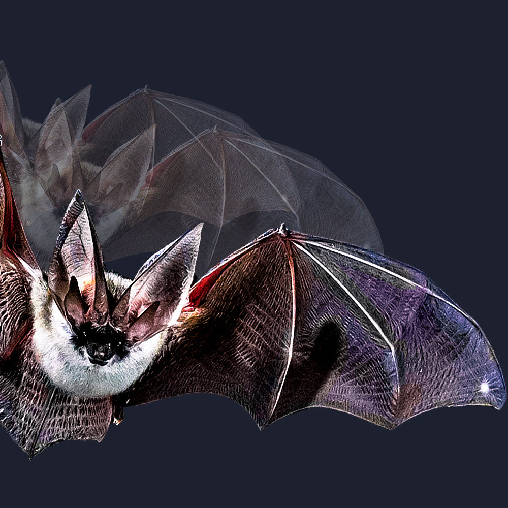 5 Tips for Animal Proofing Your Garden Cart