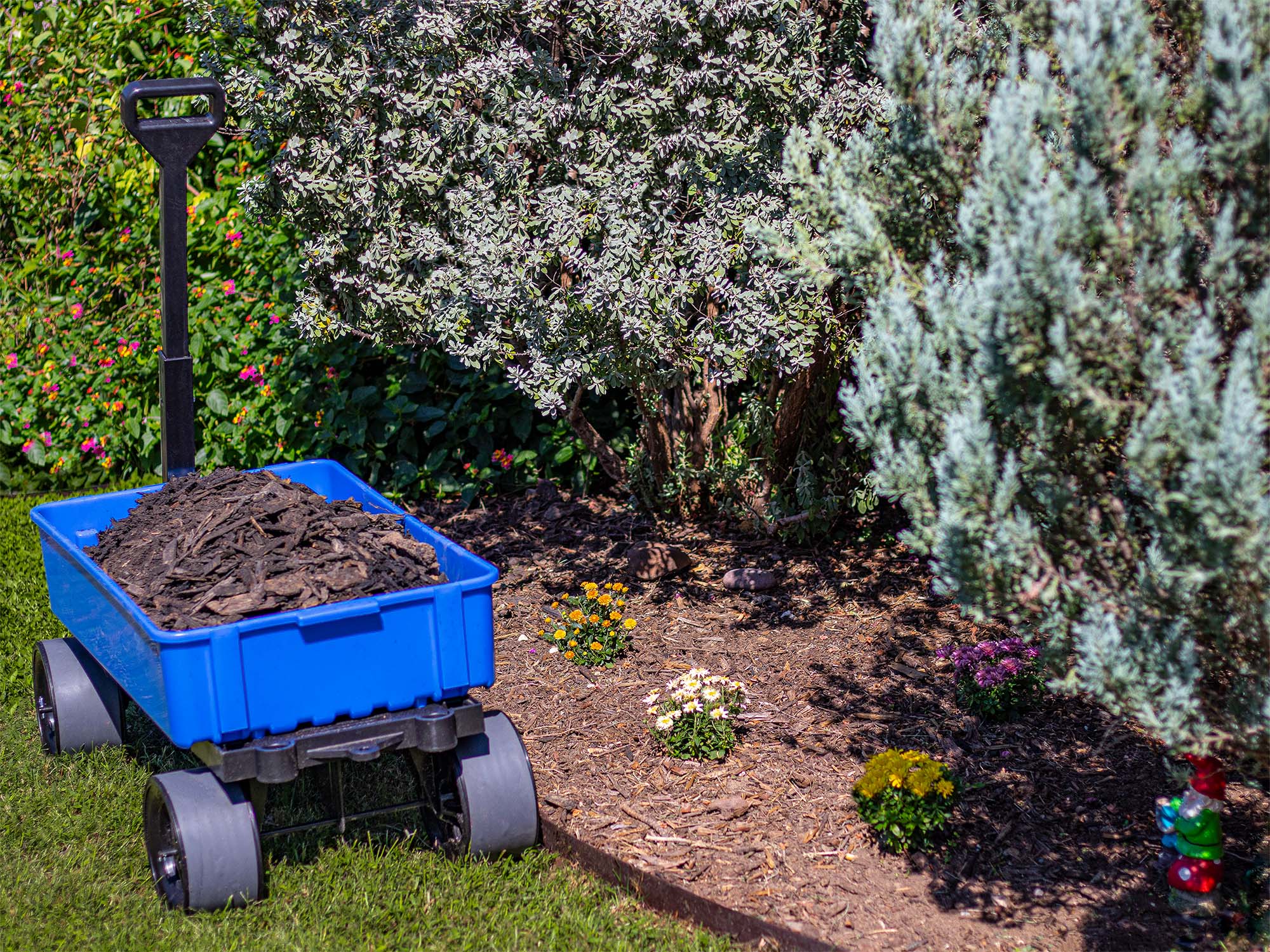 Spring Lawn Care Tips